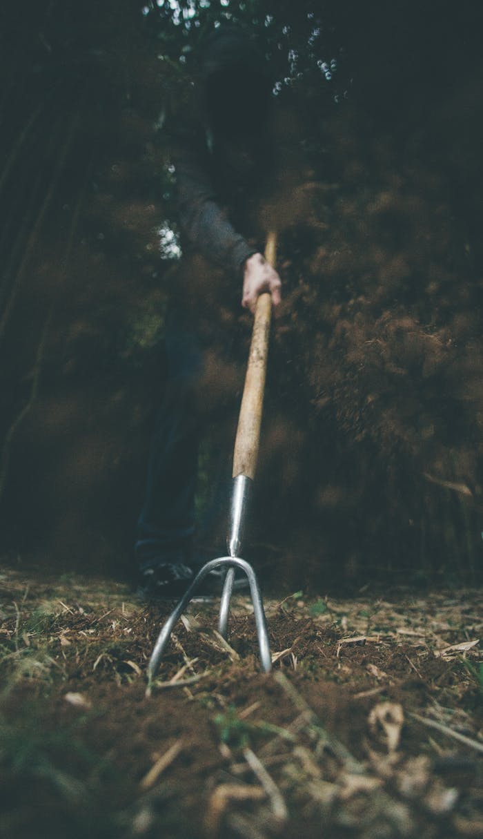 A hooded individual rakes leaves in a dark forest, creating a mysterious atmosphere.